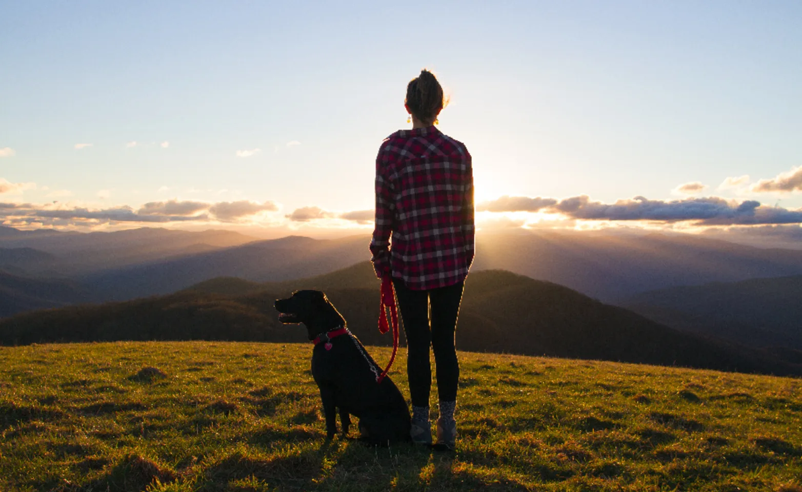 A dog and its parent standing on top of a mountain near Asheville, NC A dog and its parent standing on top of a mountain near Asheville, NC