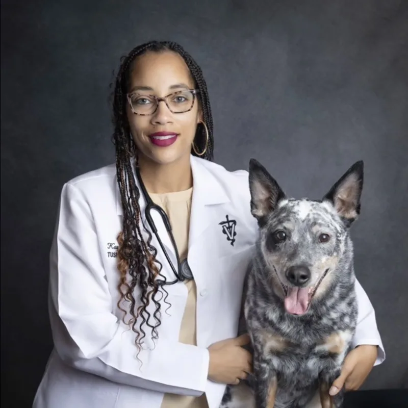 Dr. Kayla Landers Dr. Kayla Landers