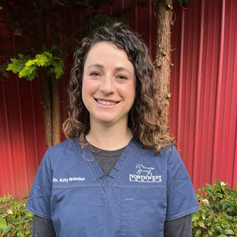 Katy Brandes, DVM Katy Brandes, DVM