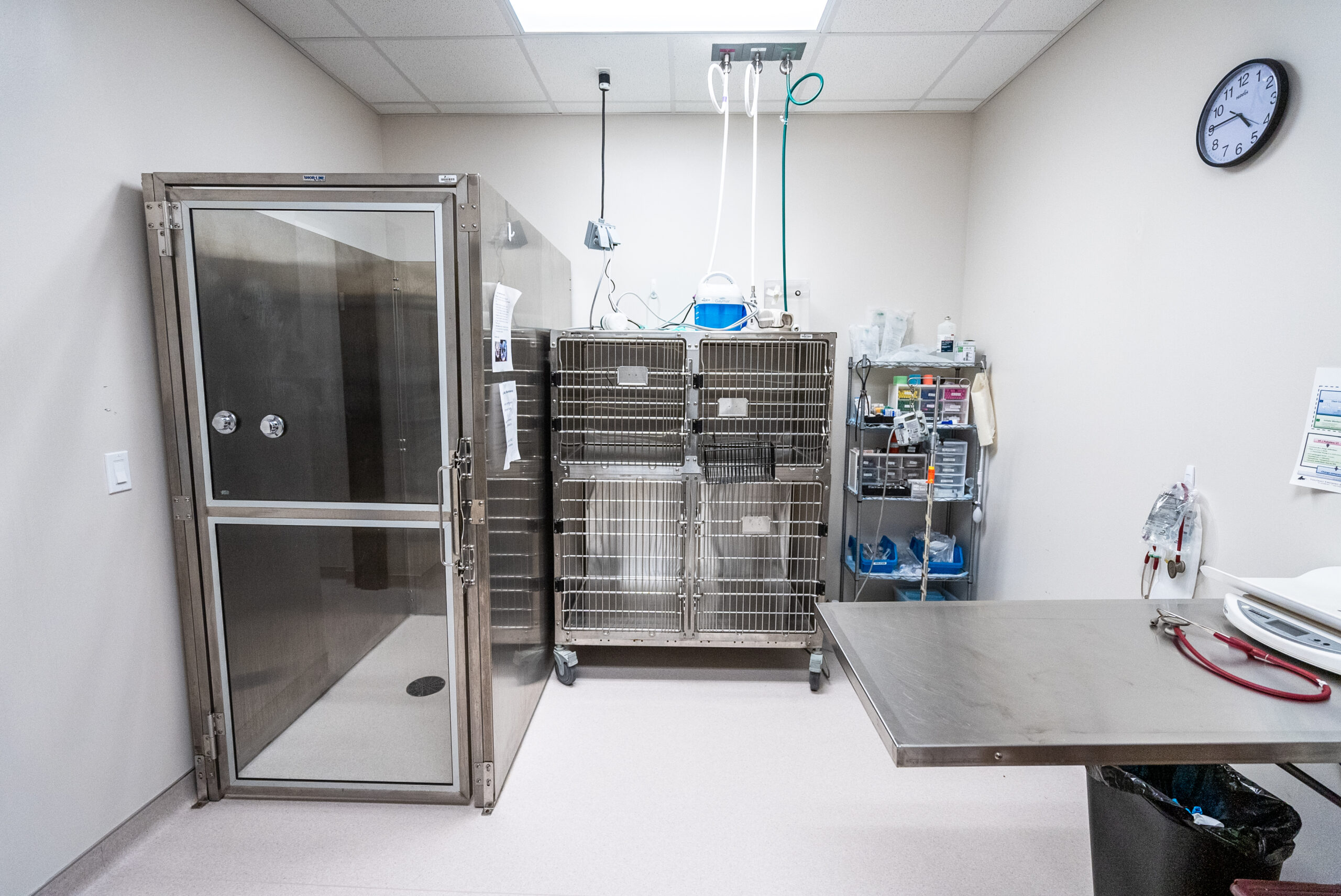 Red Bank Veterinary Hospital Hillsborough facility