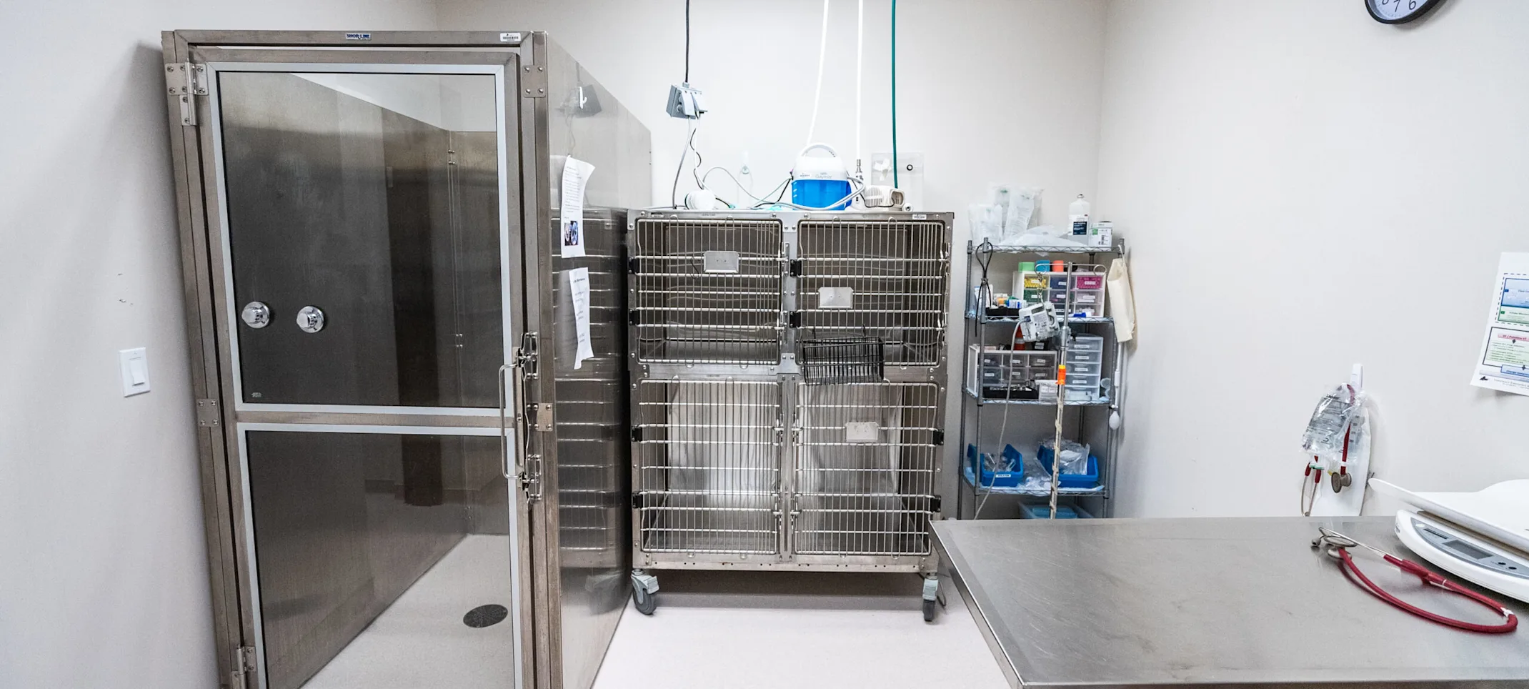 Red Bank Veterinary Hospital Hillsborough facility Red Bank Veterinary Hospital Hillsborough facility
