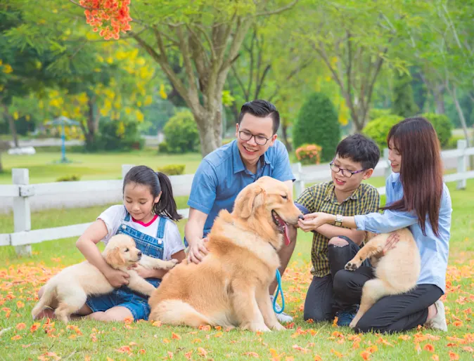 Family with fence and a dog Family with fence and a dog