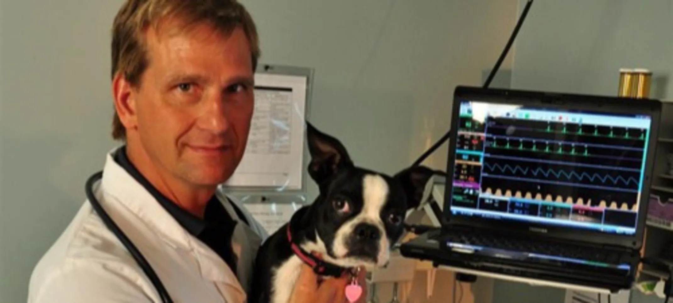 Doctor holding a dog Doctor holding a dog