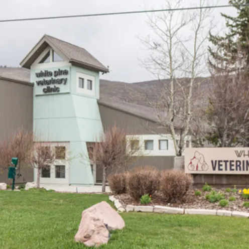 White Pine Veterinary Hospital Building Exterior