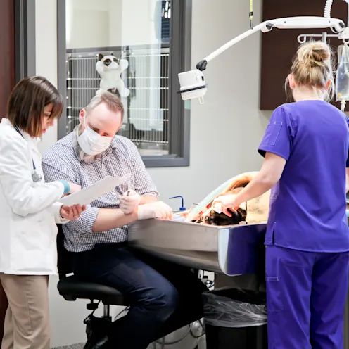 Dental Suite Dental Suite