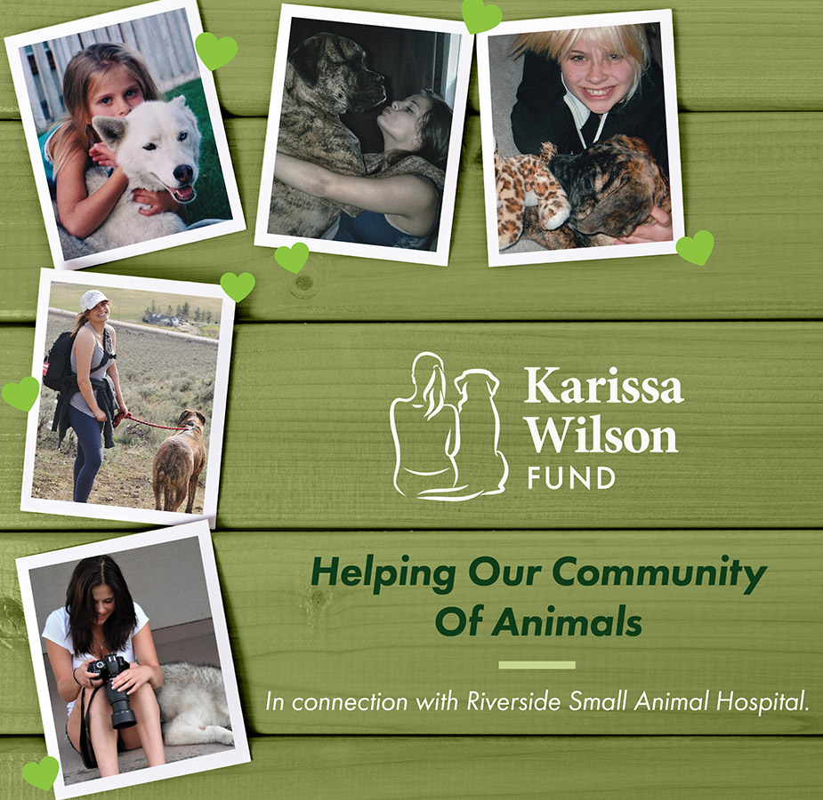 Karissa Wilson Fund