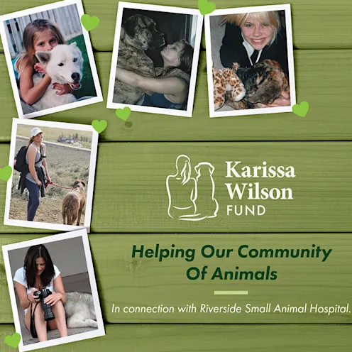 Karissa Wilson Fund Karissa Wilson Fund