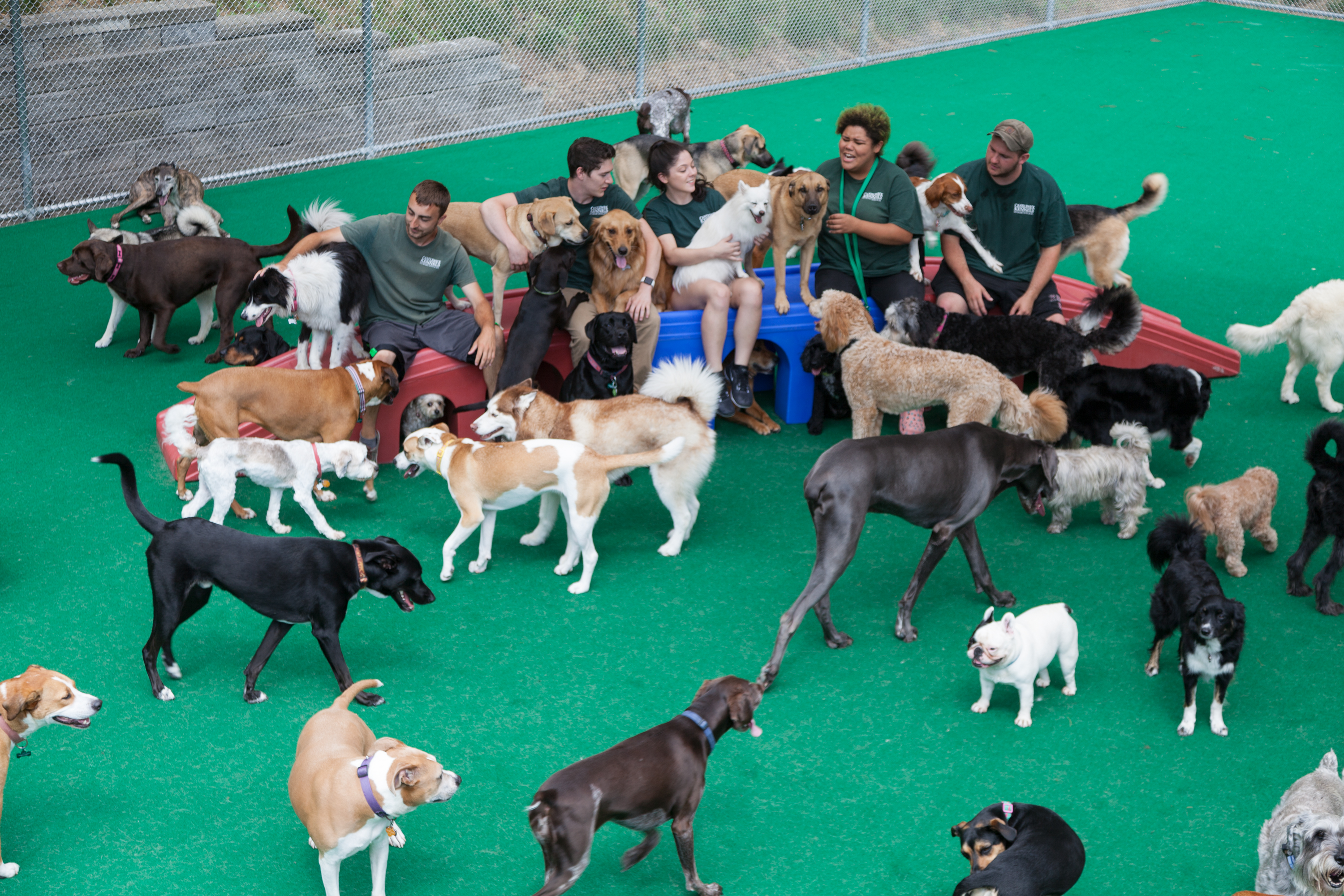 Candlewick Kennels Large Dog Yard