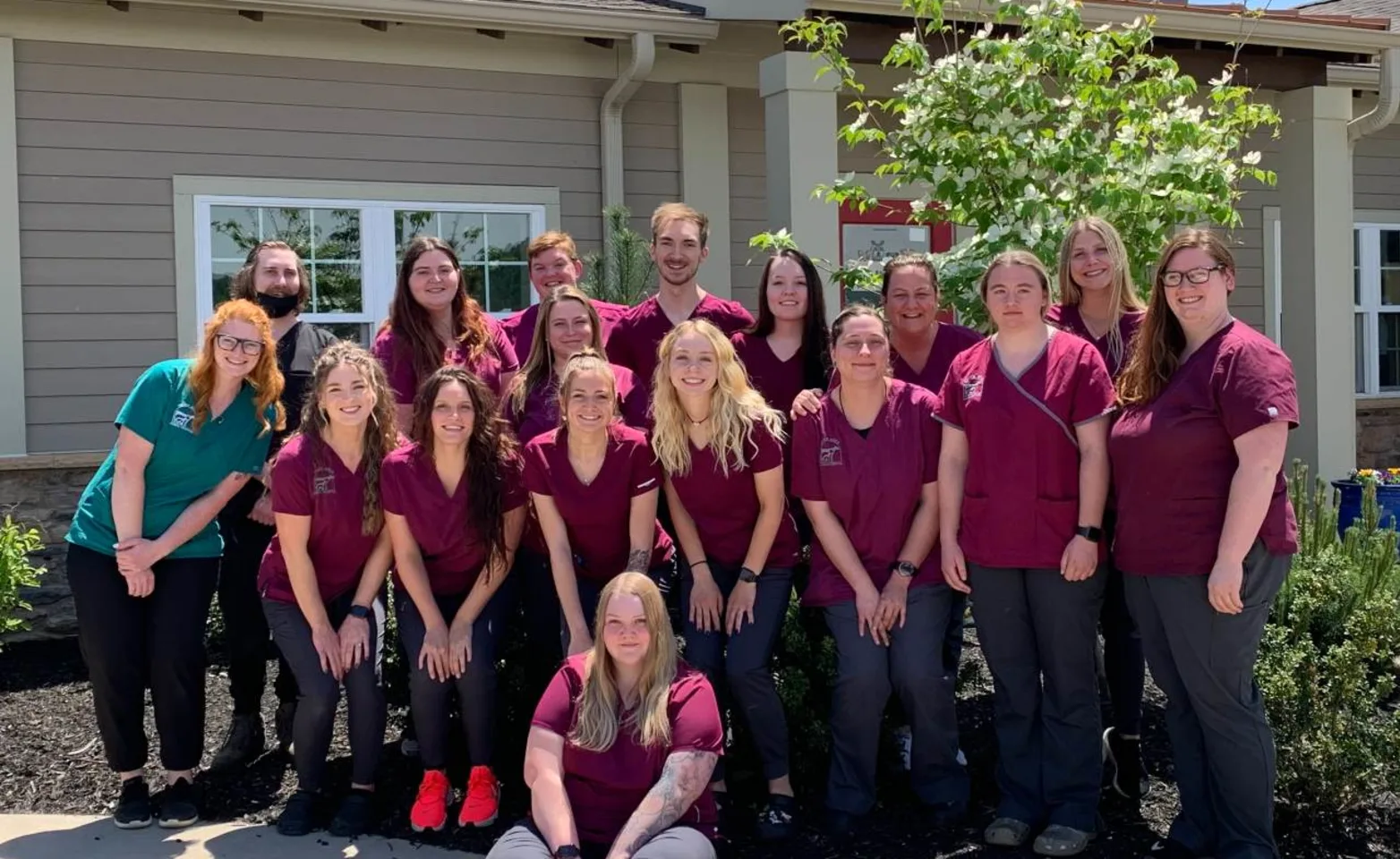 Staff at Dover Area Animal Hospital