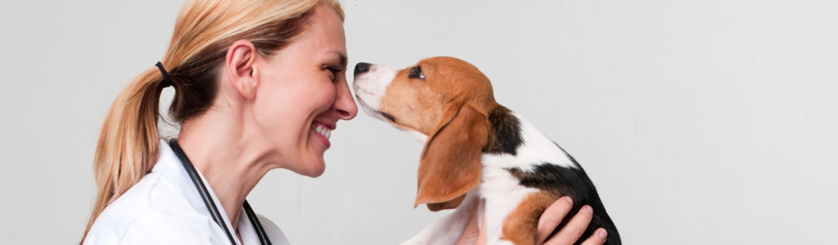 A doctor holding a beagle to her face. A doctor holding a beagle to her face.