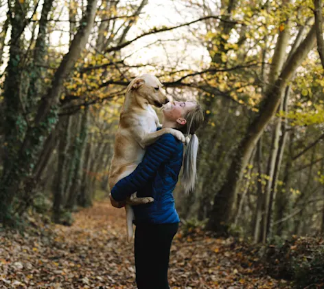 Women holding dog on walking trail in woods Women holding dog on walking trail in woods