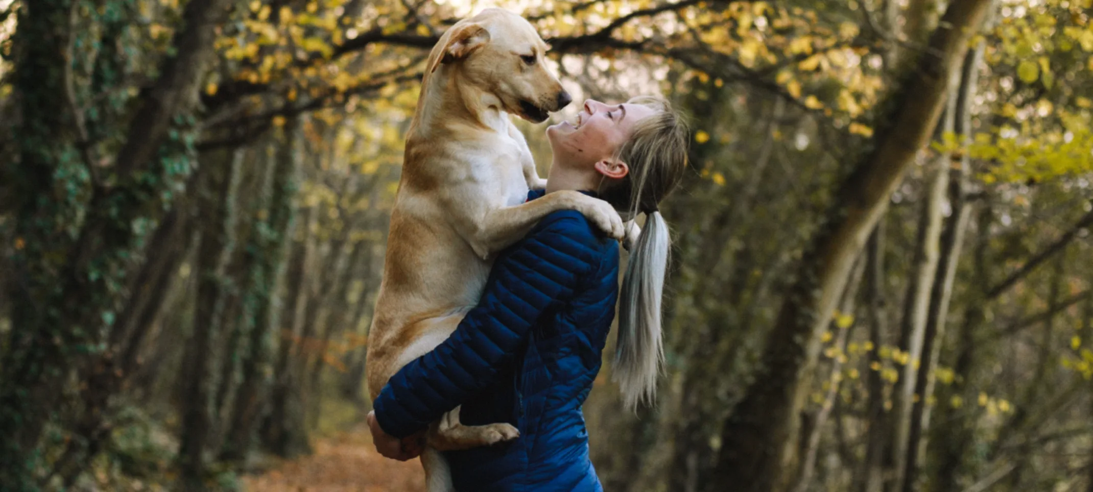 Women holding dog on walking trail in woods Women holding dog on walking trail in woods