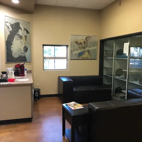 Ocotillo Animal Clinic and Pet Resort Lobby