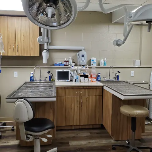 Dental Suite area and tables at Oak Knoll Animal Hospital