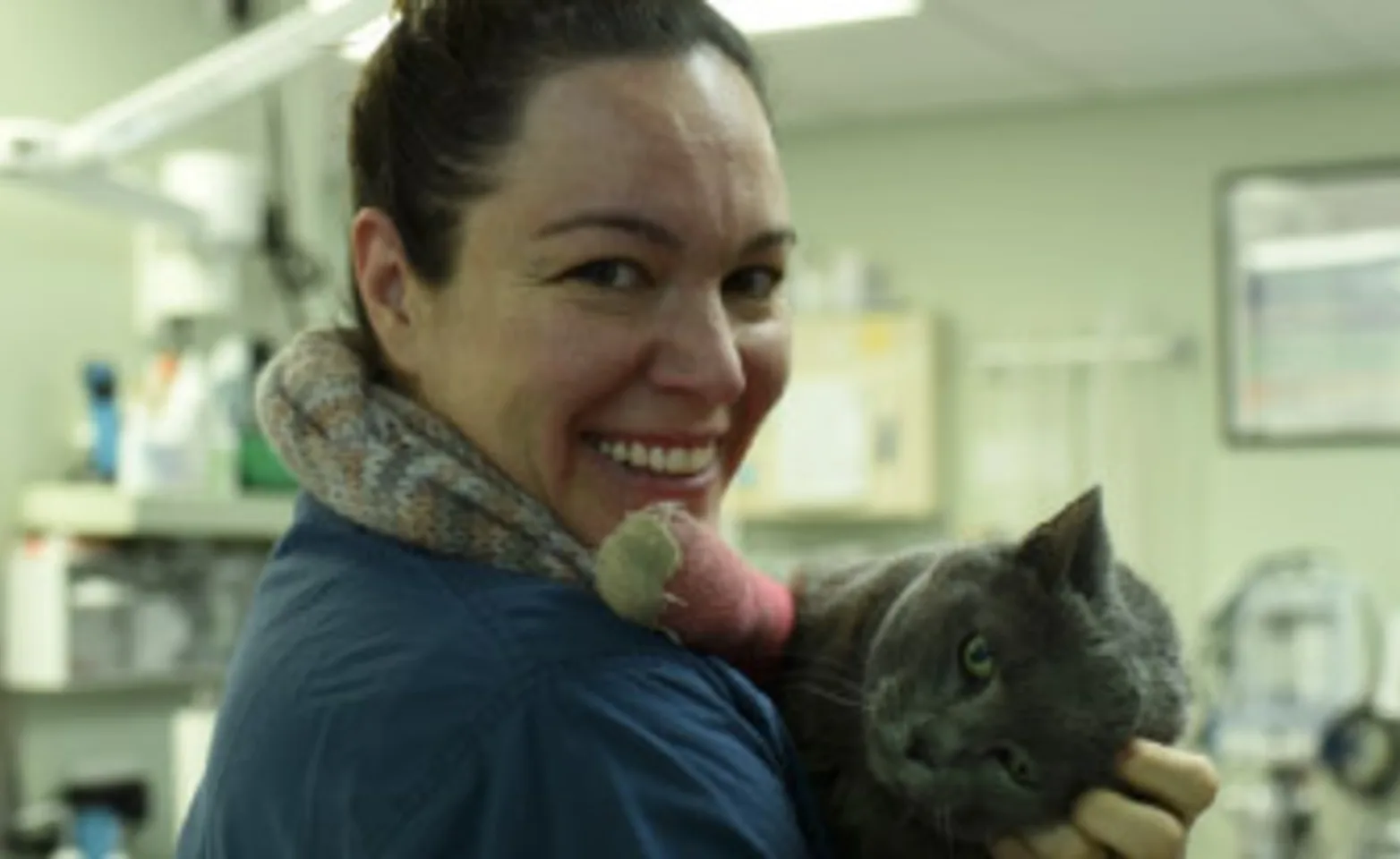Internal Medicine Veterinarian at VESH holding a feline patient