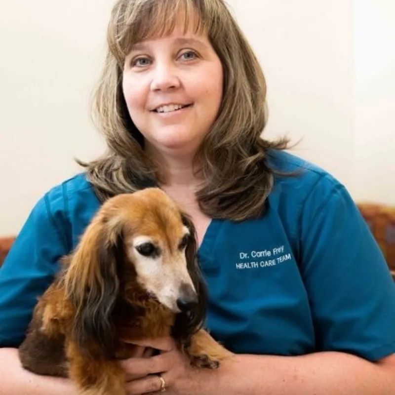 Dr. Carrie Frey with dog. Dr. Carrie Frey with dog.