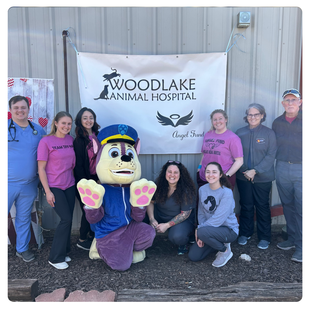 woodlake ANIMAL HOSPITAL STAFF