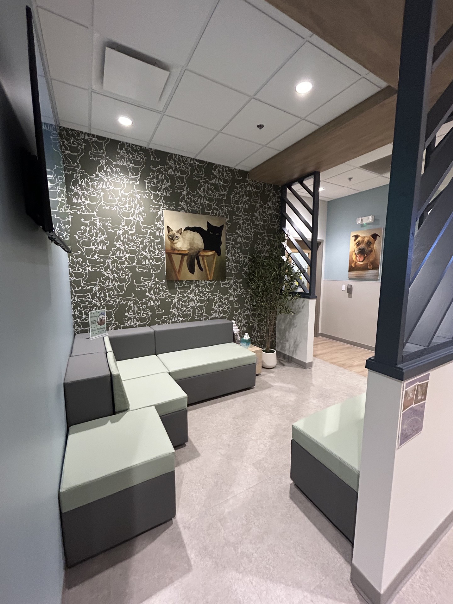 Vista Veterinary Specialists Waiting Area