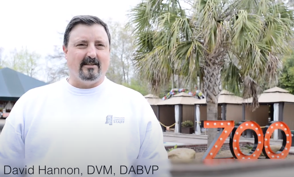 David Hannon, DVM at the zoo