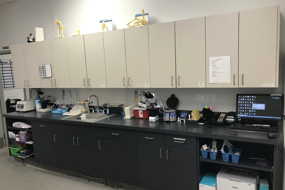 Countryside Veterinary Clinic of Richmond Equipment and lab area