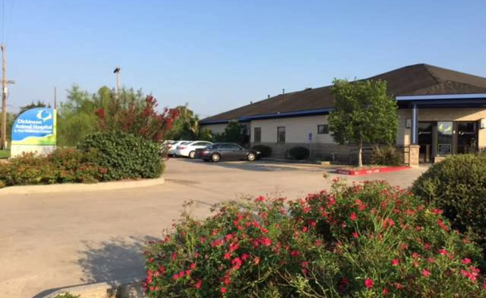 Front entrance of Dickinson Animal Hospital & Pet Wellness Center Front entrance of Dickinson Animal Hospital & Pet Wellness Center