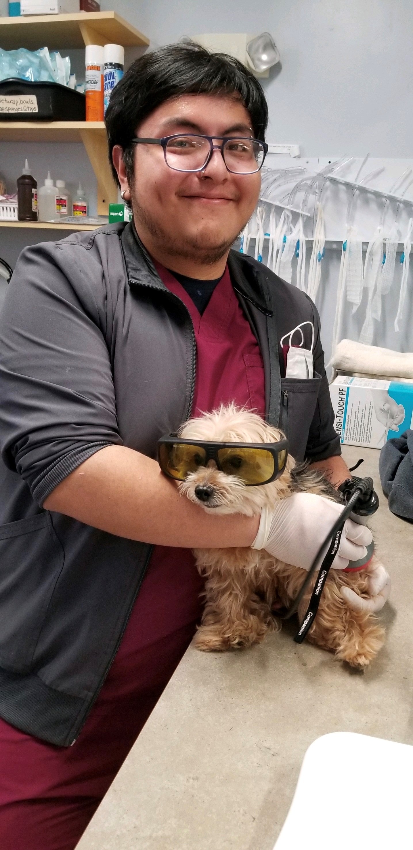 Glen Ellyn staff member holding a dog that is wearing sunglasses on table