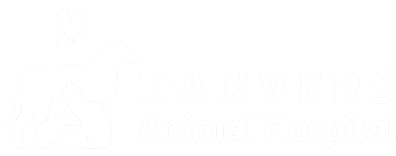 Danvers Animal Hospital Logo Danvers Animal Hospital Logo