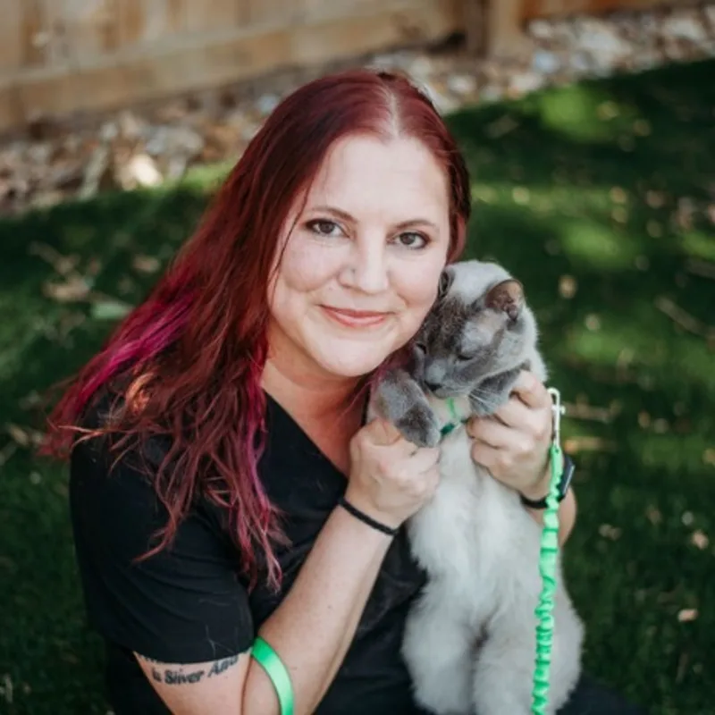 Lisa Landi Lisa Landi