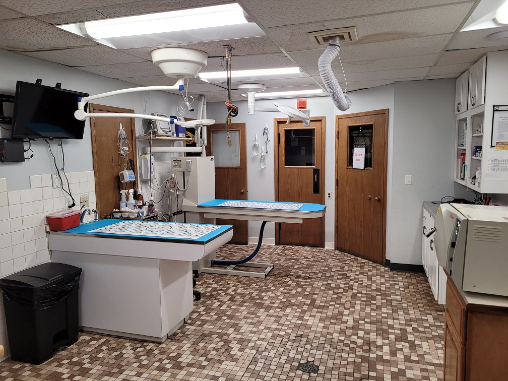  Kimberly Pines Veterinary Hospital Treatment Room