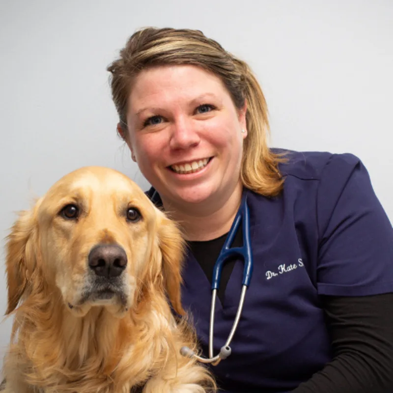 Dr. Kate Smith Dr. Kate Smith