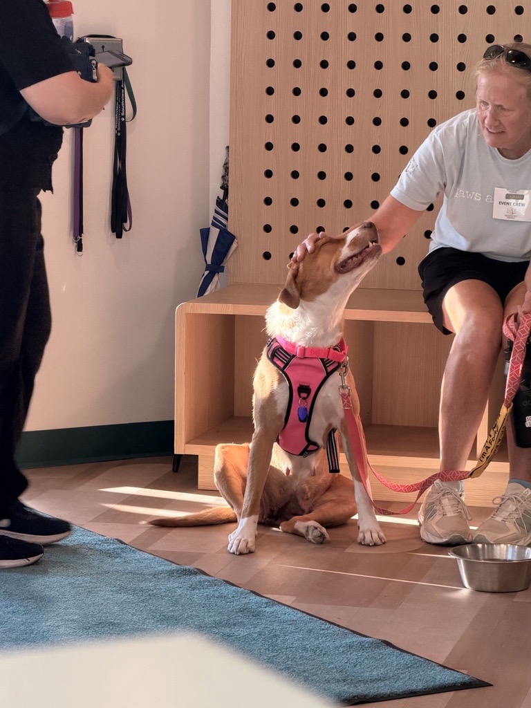 Adoption Event with Warrior Dog Rescue