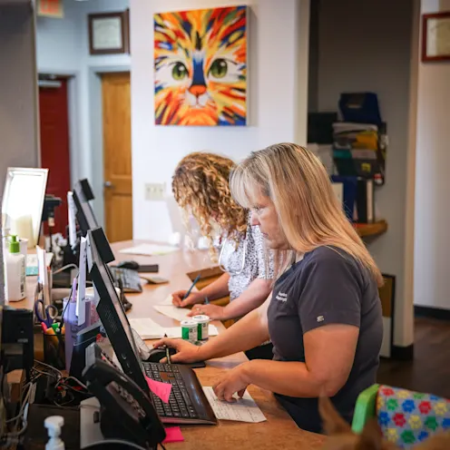 receptionists working at Great Oaks Animal Hospital receptionists working at Great Oaks Animal Hospital