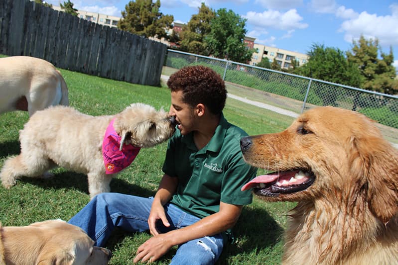 Dog in pink bandana giving staff member a kiss