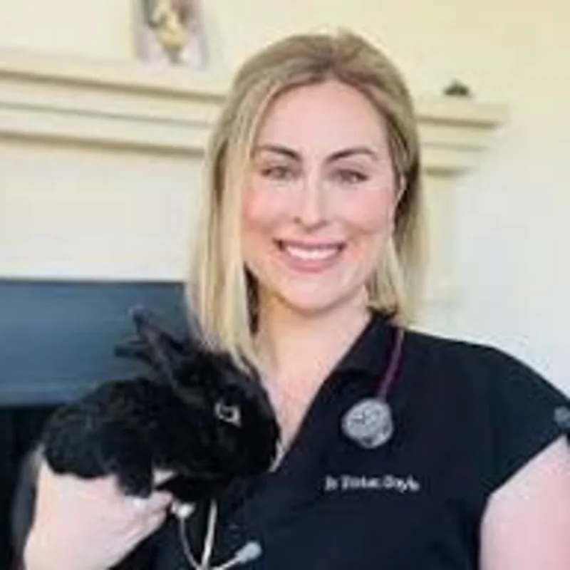 Puppy pencil placeholder for Dr. Tristan Doyle Puppy pencil placeholder for Dr. Tristan Doyle