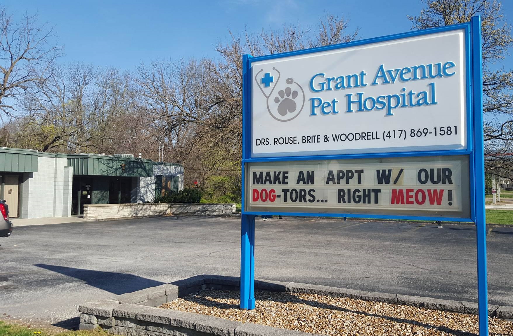Homepage | Grant Avenue Pet Hospital