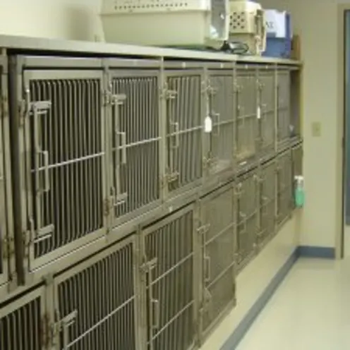 Small Animal Hospital Kennels