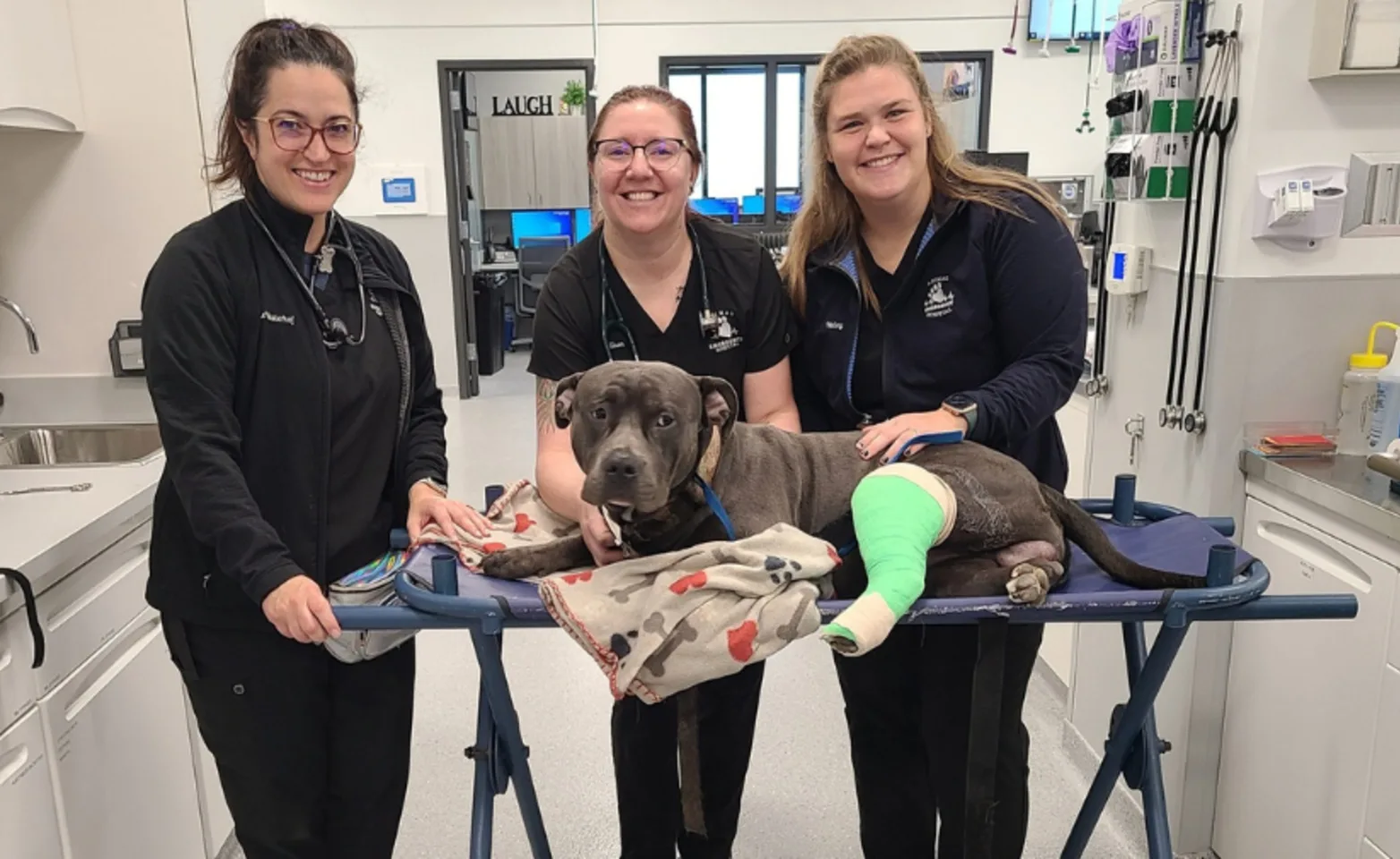 Staff members with dog in cast.