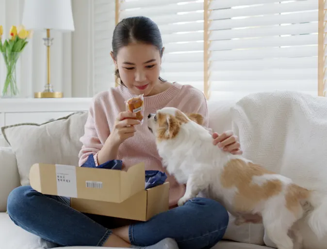 Owner Opening Package Giving Dog a Treat Owner Opening Package Giving Dog a Treat