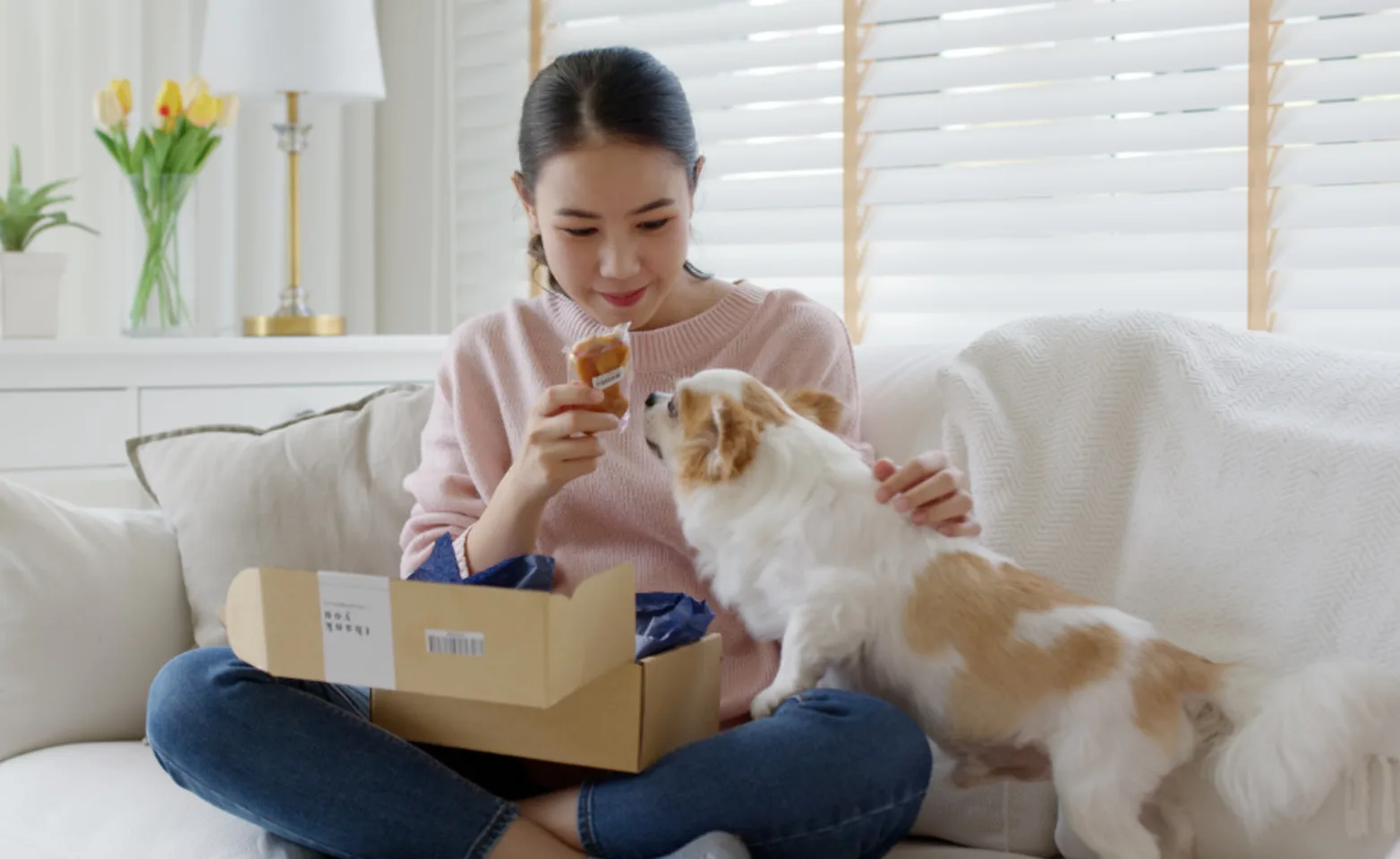 Owner Opening Package Giving Dog a Treat Owner Opening Package Giving Dog a Treat