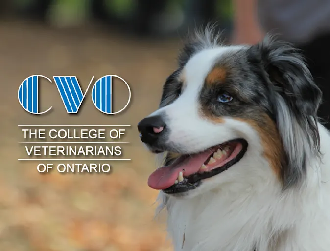 College of Veterinarians of Ontario (CVO) College of Veterinarians of Ontario (CVO)
