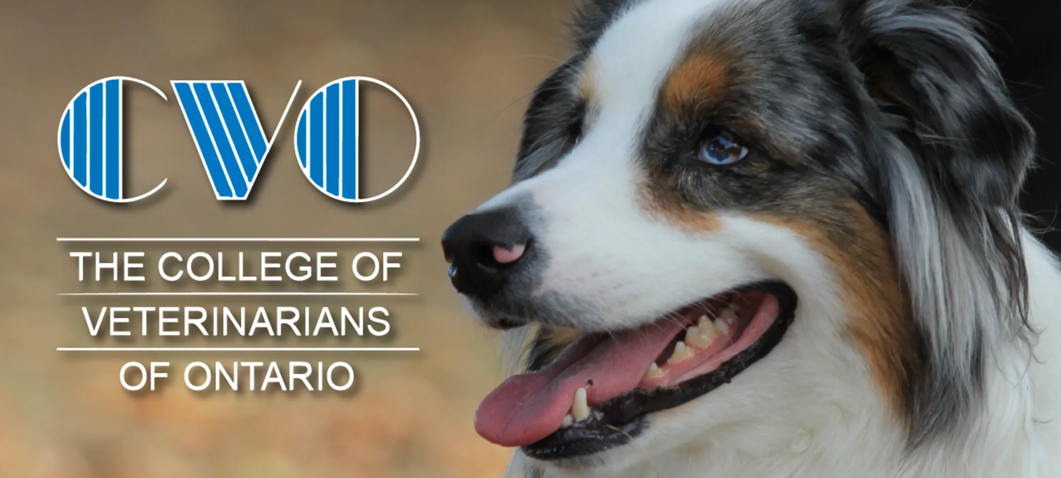 College of Veterinarians of Ontario (CVO) College of Veterinarians of Ontario (CVO)