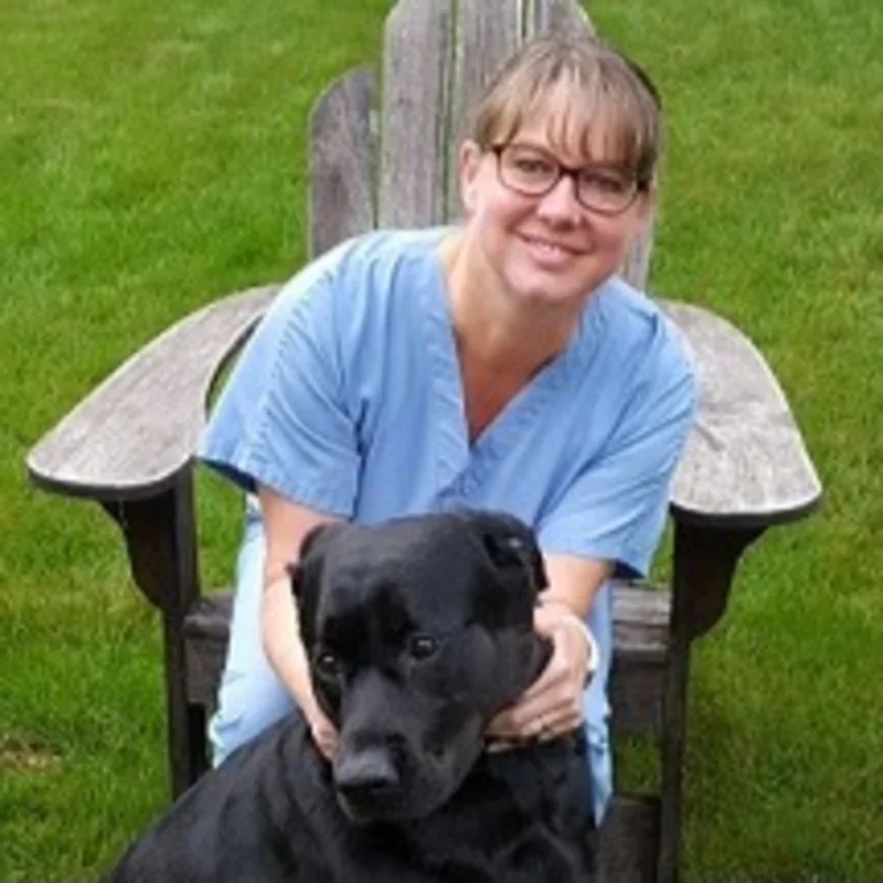 Dr. Jeannine Hostetter Dr. Jeannine Hostetter