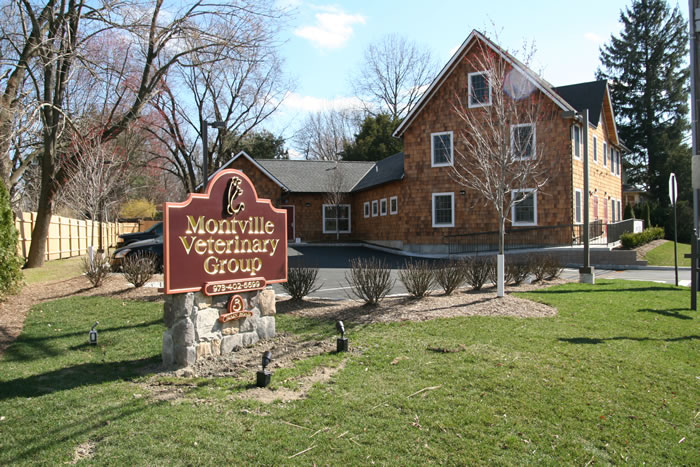 Montville Veterinary Group Exterior2