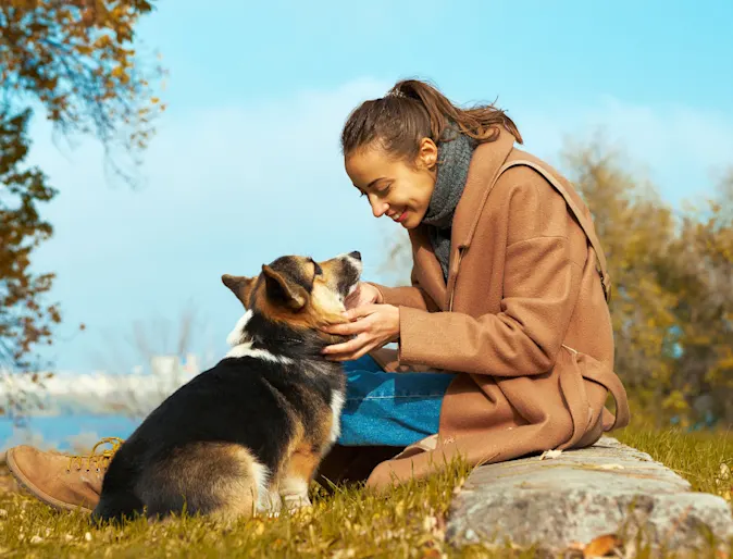 Woman Sitting Looking at Dog Woman Sitting Looking at Dog