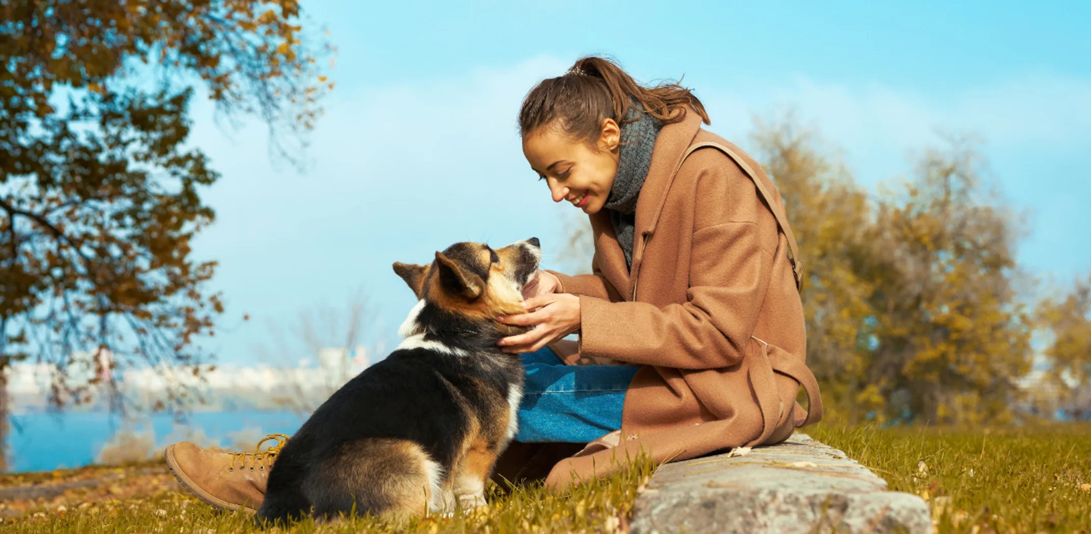 Woman Sitting Looking at Dog Woman Sitting Looking at Dog