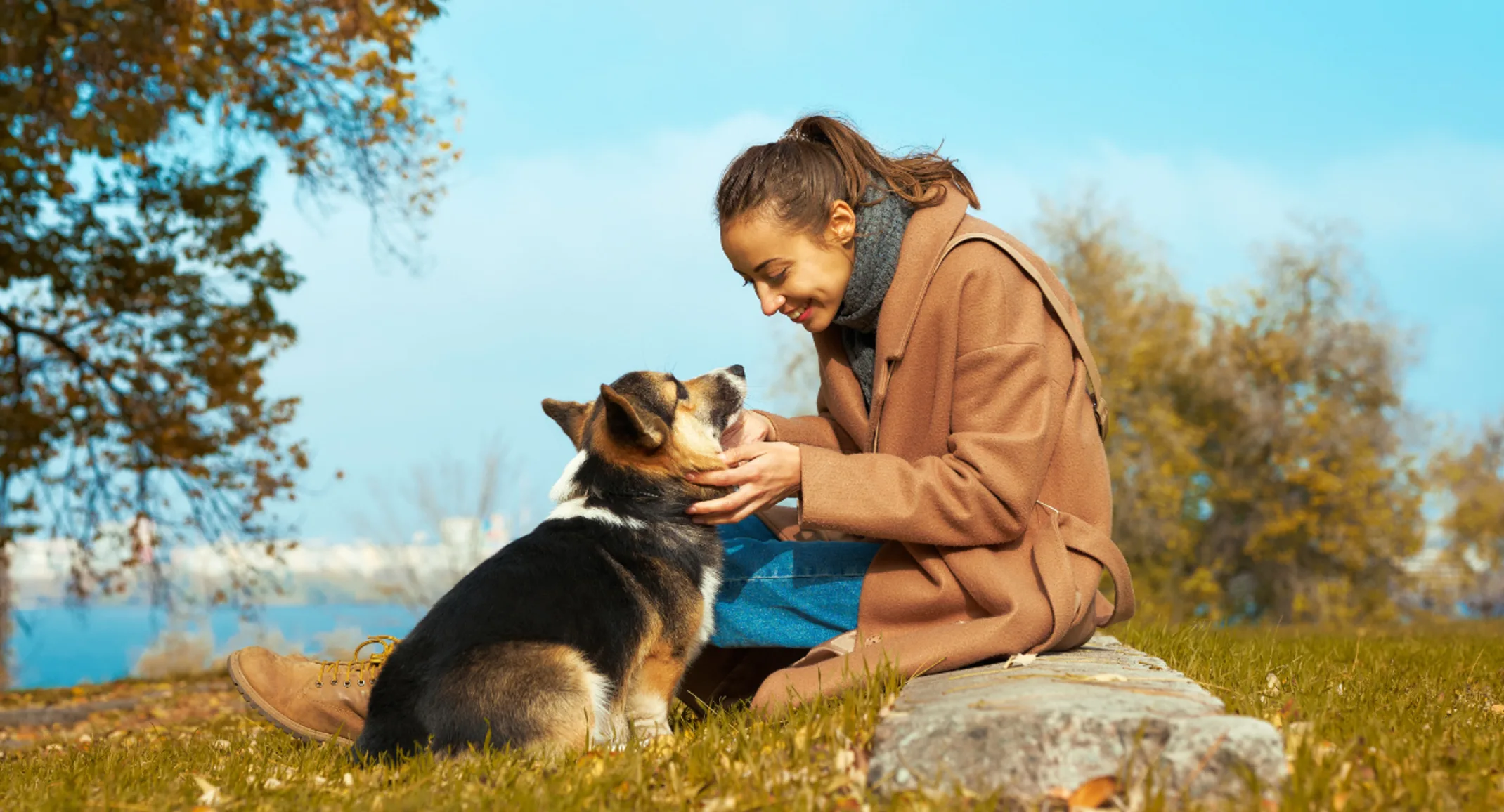 Woman Sitting Looking at Dog Woman Sitting Looking at Dog