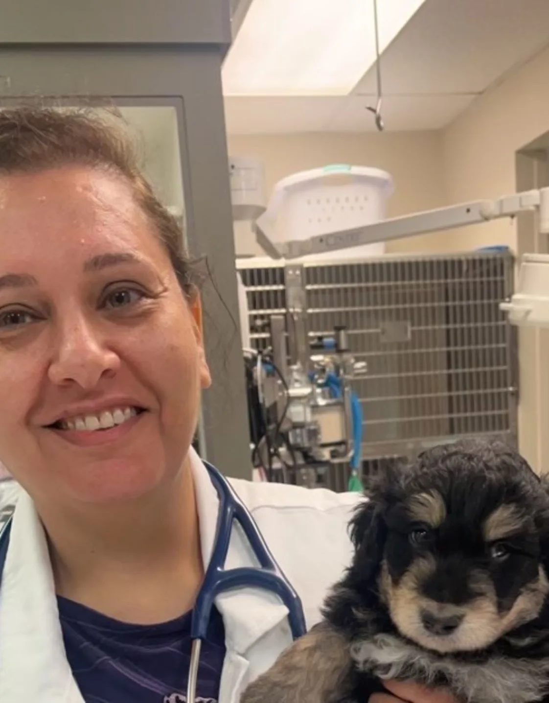 Dr. Hanaa Elias Dr. Hanaa Elias
