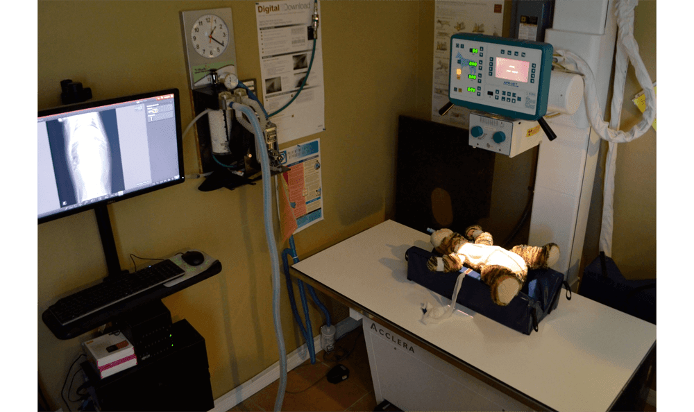 Critical Care/Surgical Center - X-Ray