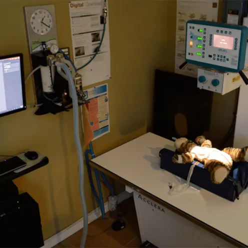 Critical Care/Surgical Center - X-Ray Critical Care/Surgical Center - X-Ray