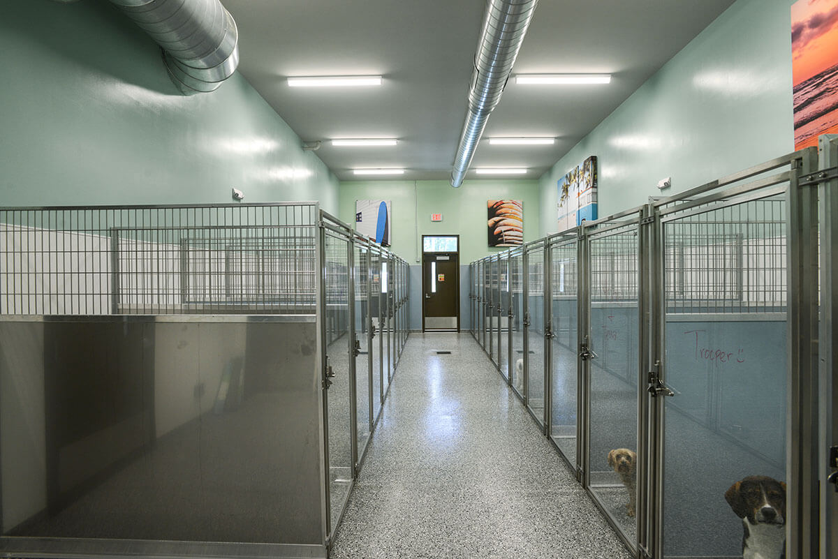 Canine Boarding Hall – Folly Beach